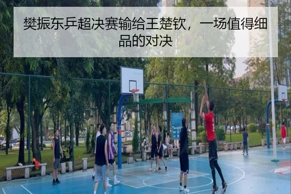 樊振东乒超决赛输给王楚钦，一场值得细品的对决